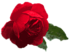 rose1rt.gif (3905 bytes)
